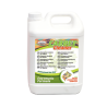 CARPET CLEANER - DETERGENT POUR TAPIS, MOQUETTES ET TISSUS - 5L