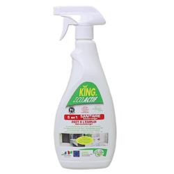 ECOACTIF 5 EN 1 SANITAIRE - 750ML -